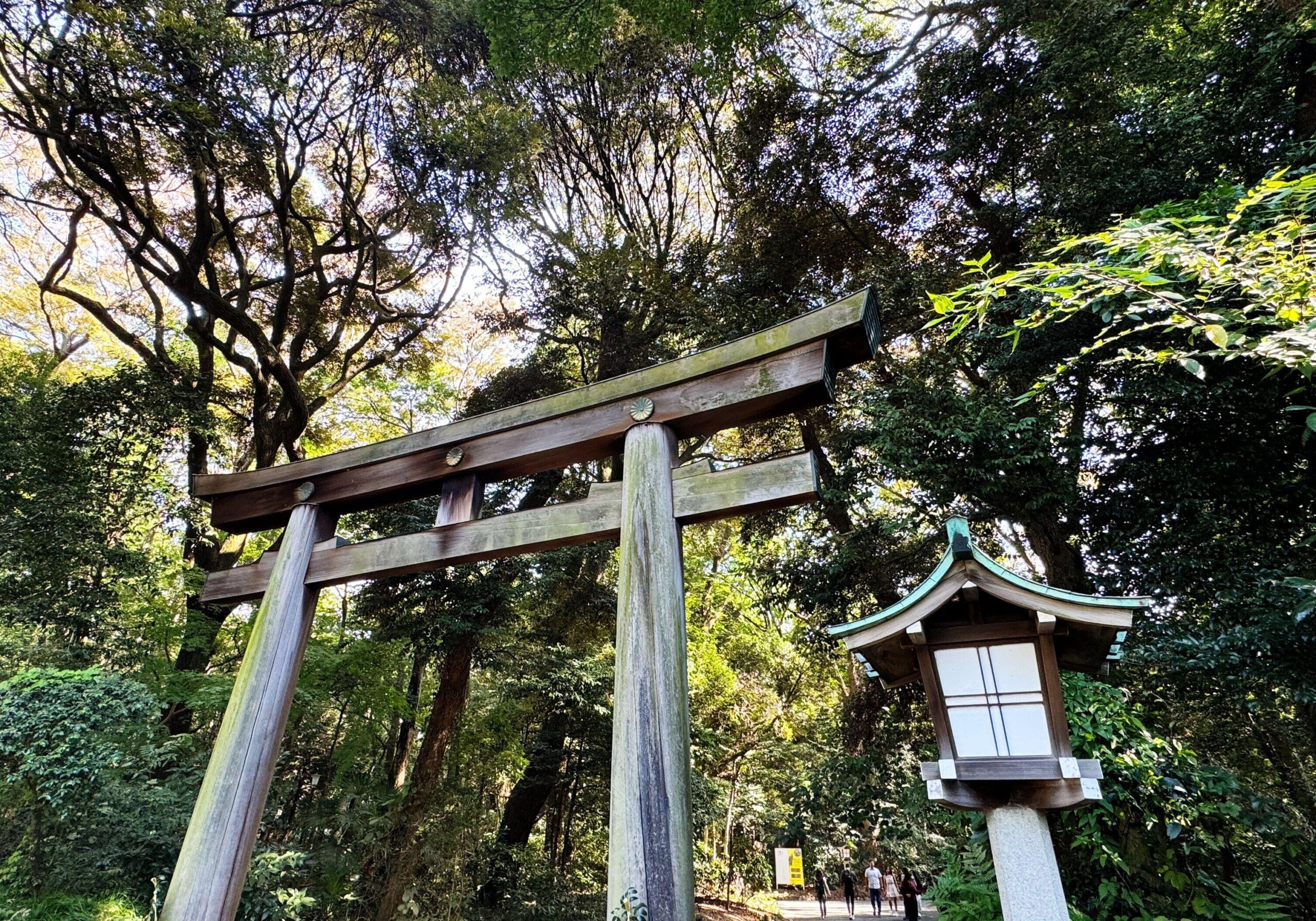 Wooden_Torii