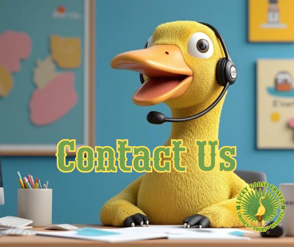 Contact (940 x 788 px)